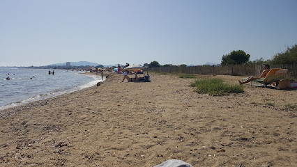 Plage des Vieux Salins photo