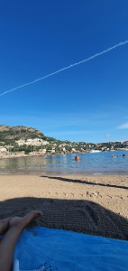 Plage du Château photo