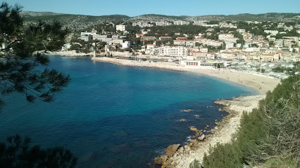 Plage du Corton photo