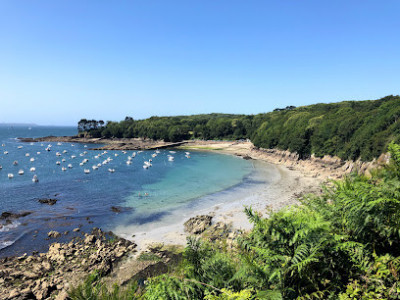 Plage du Dellec photo