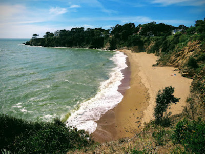 Plage du Grand Traict   photo