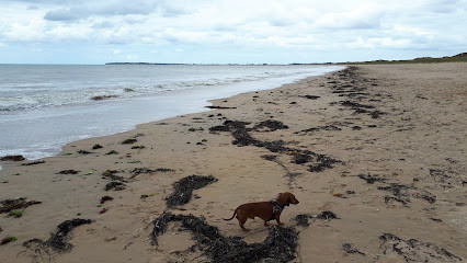 Plage du Midi photo