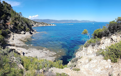 Plage du Pinet photo