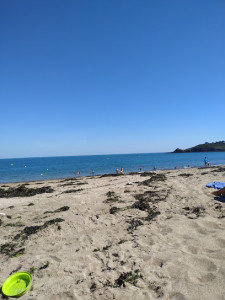 Plage du Verger photo