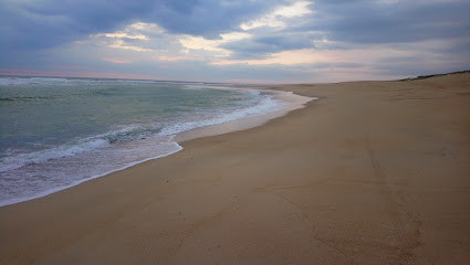 Plage Naturiste d’Hossegor photo