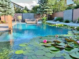 Plan d'Eau de Chambon sur Lignon photo