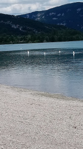 Plan d'eau de Cuchet photo