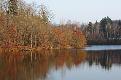 Plan d'Eau de Mialet photo