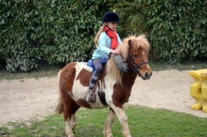 poney club  photo