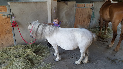 Poney club Ambre photo