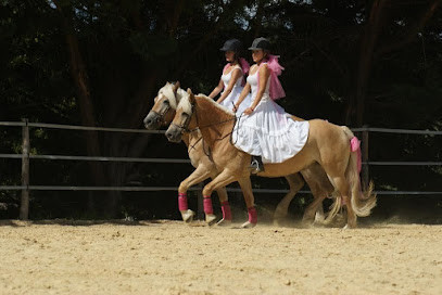 Poney Club D Emilie              photo
