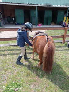 Poney Club de Caudan photo