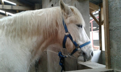 Poney Club de l'Ecluse photo