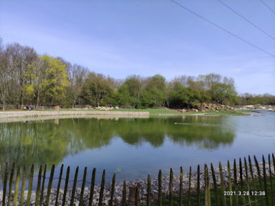 Poney Club Des Chanteraines photo