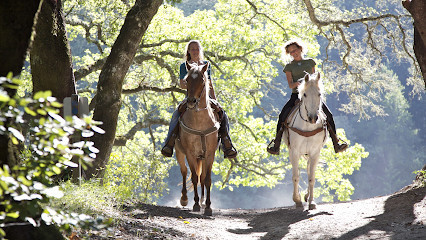 PONEY CLUB DES ETRETS photo