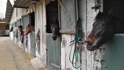 Poney Club du Rû Saint Martin photo