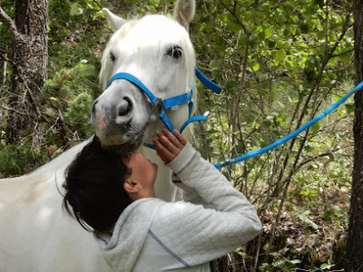 Poney Club Les Coquelicots photo