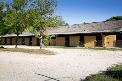 Poney-Club Saint Sauveur Les Écuries de l’Emeraude photo