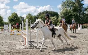 Poney Phémère System photo