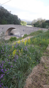 Pont de Sautet photo