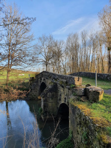 Pont romain de Rolampont photo