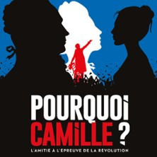 Pourquoi Camille ?, Petit Louvre Salle Van Gogh photo