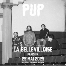 Pup photo