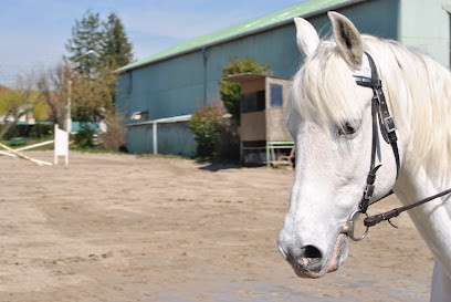 QILIN Equithérapie - Equitation adaptée - Eveil corporel - équitation et aide au photo