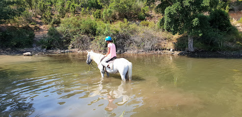 Ranch Caval’en Liberté photo