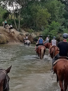 Ranch de la Sirène photo