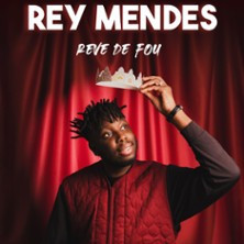 Rey Mendes - Rêve de Fou - Petit Palais des Glaces, Paris photo