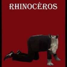 Rhinocéros, Eugène Ionesco - Théâtre Bellecour, Nice photo