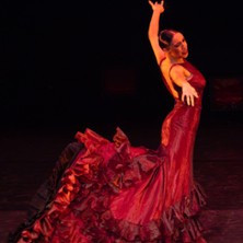 Rose d'Espagne - Latido y tañido, Théâtre Le Ranelagh, Paris photo