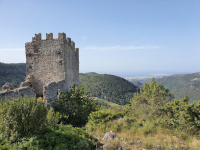 Ruines de Châteauneuf Villevieille photo