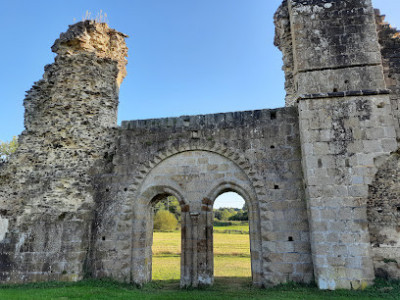 Ruines de l'abbaye de Savigny photo
