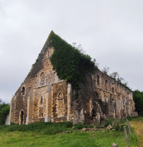 Ruines de l'abbaye Notre-Dame de Barbery photo