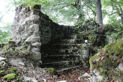 ruines de l'Abbaye saint Sulpice photo
