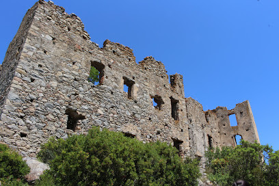 Ruines du Castellu di Coasina photo
