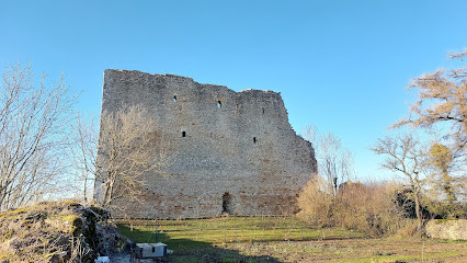 Ruines du Château à Vaudémont photo
