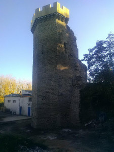 Ruines du château de La Chèze photo