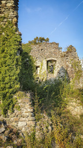 Ruines du Château de Revel photo