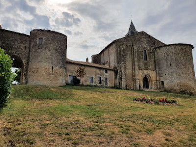 Ruines du Château Médiéval photo