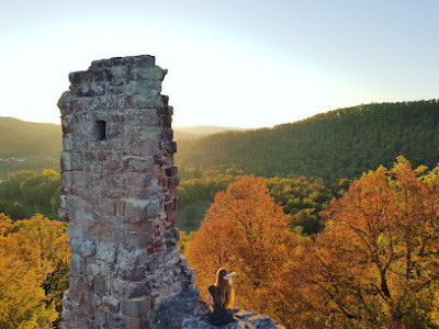 RUINES DU RAMSTEIN (sécurisée visitable) merveilleux point de vue photo