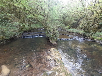 Ruisseau de Noire Fontaine photo