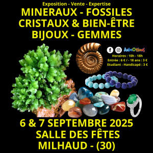 Salon Minéraux Fossiles Cristaux & Bien-Être Bijoux et Gemmes de Nîmes photo