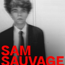 Sam Sauvage photo