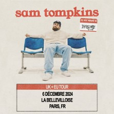 Sam Tompkins - hi, my name is insecure tour photo