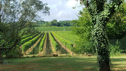 SCEA Des Vignobles Ricard photo
