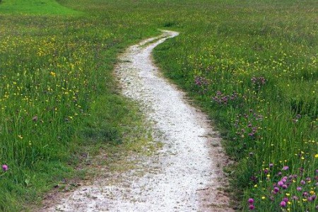 Se balader à la Chemin de Rudoloc photo