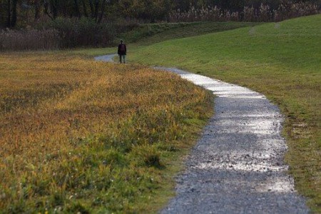 Se balader au Chemin de halage de la Somme photo